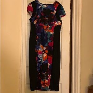 Dress barn multi-color flower dress (brand new)